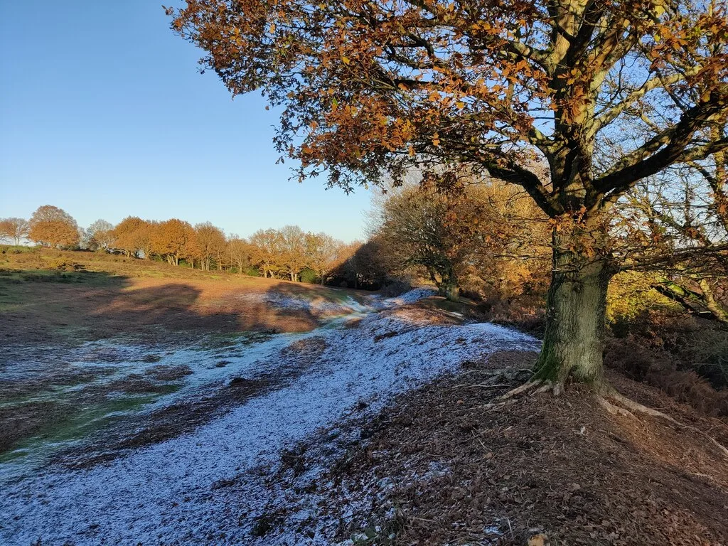 Kinver Edge Hillfort